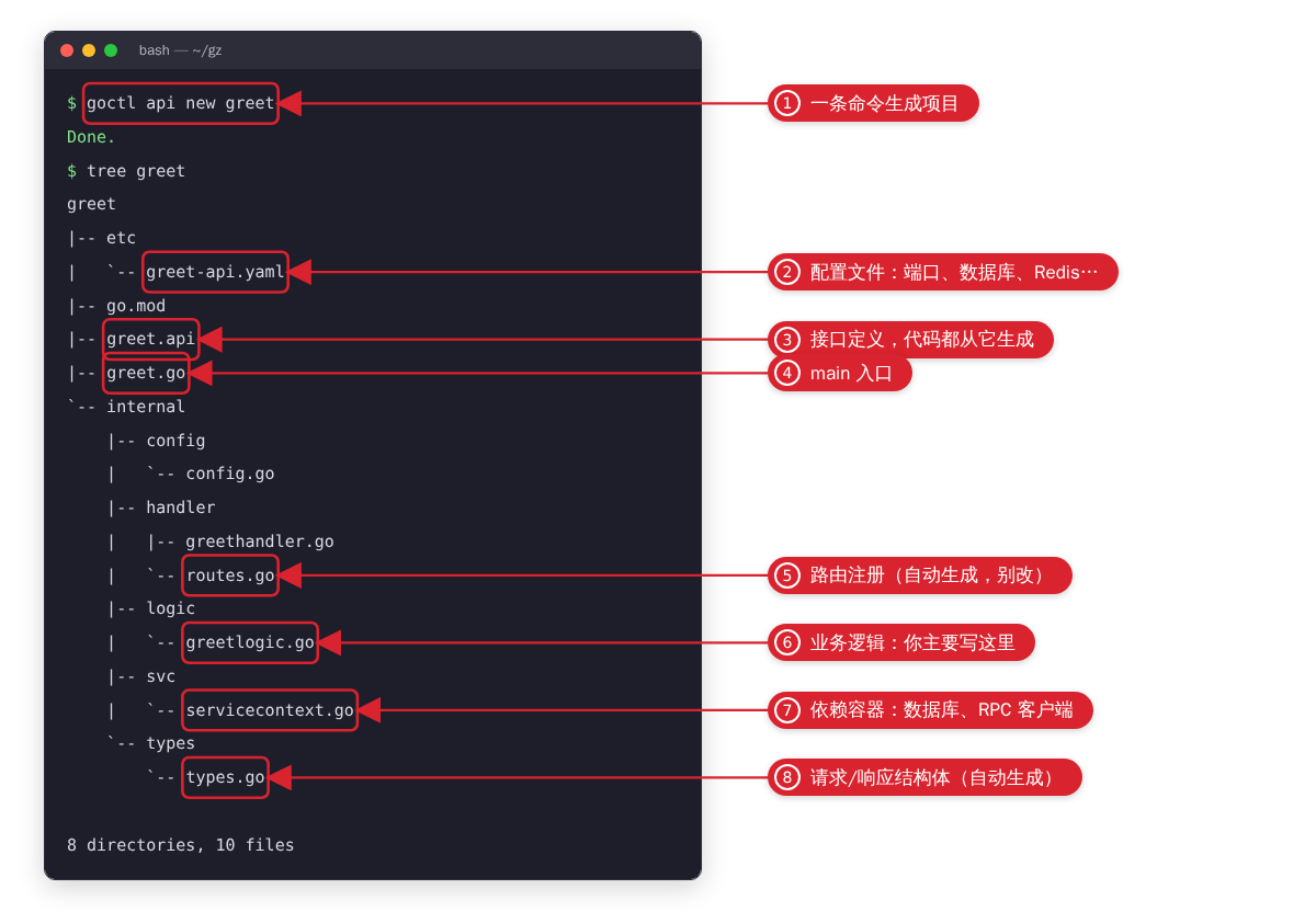 goctl api new 生成的项目目录